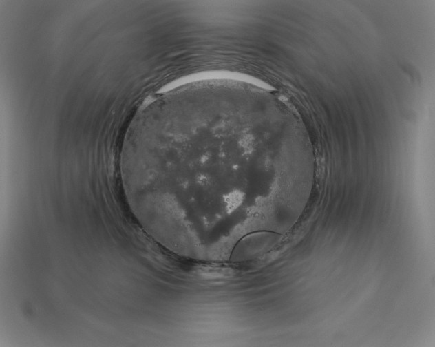 X0000115200331200911121848