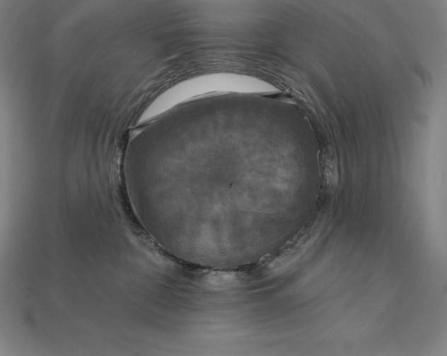 X0000115200332200911121848