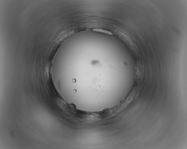 X0000115200333200911121848