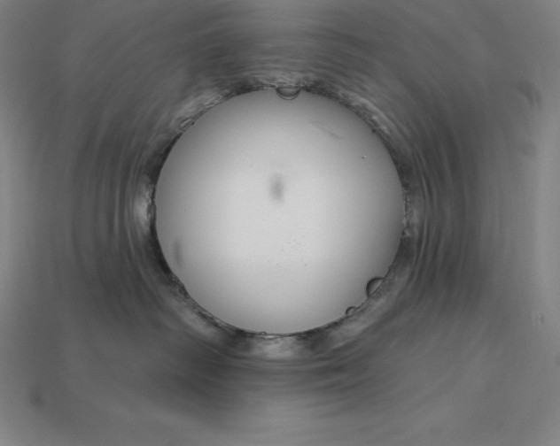 X0000115200334200911121848