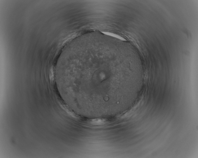 X0000115200335200911121847
