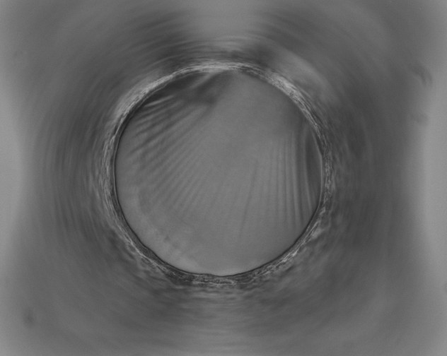 X0000115200337200911121847