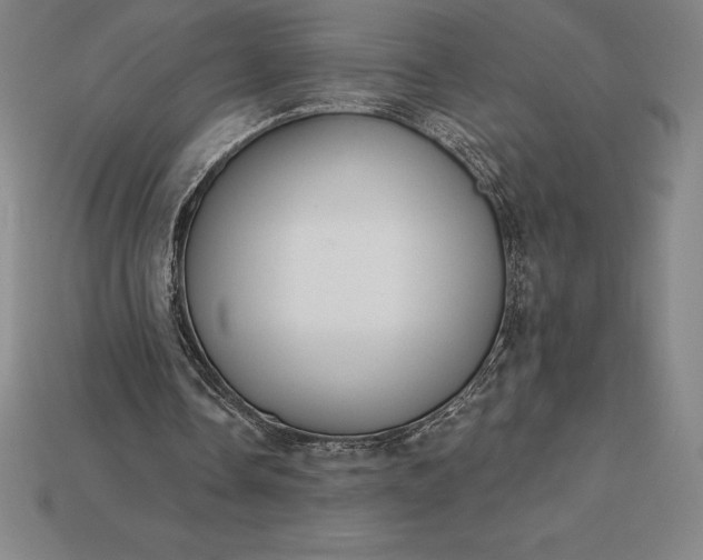 X0000115200338200911121847