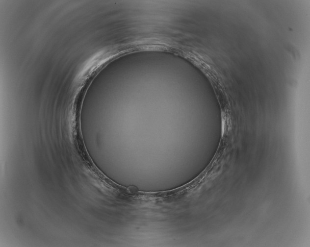 X0000115200339200911121847