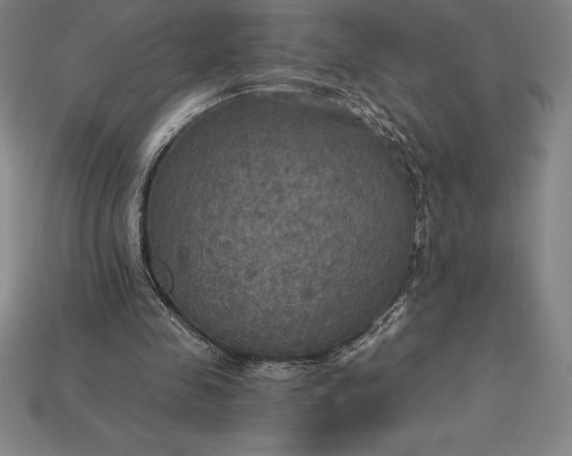 X0000115200341200911121847