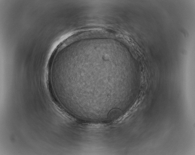 X0000115200342200911121847
