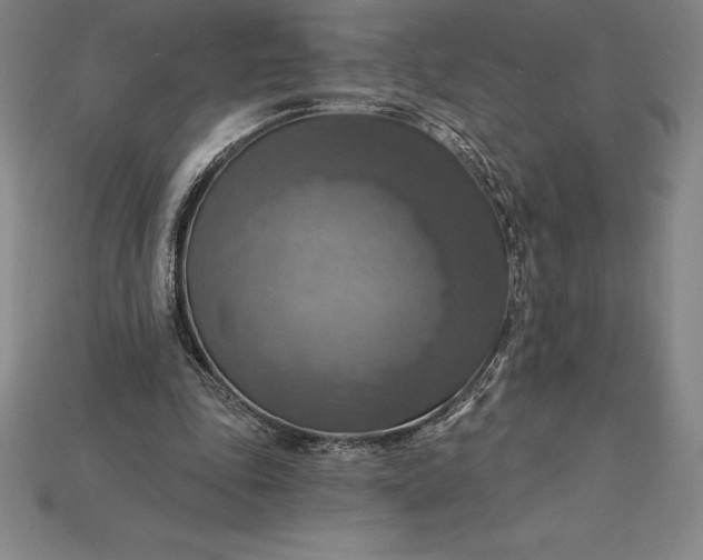 X0000115200343200911121847