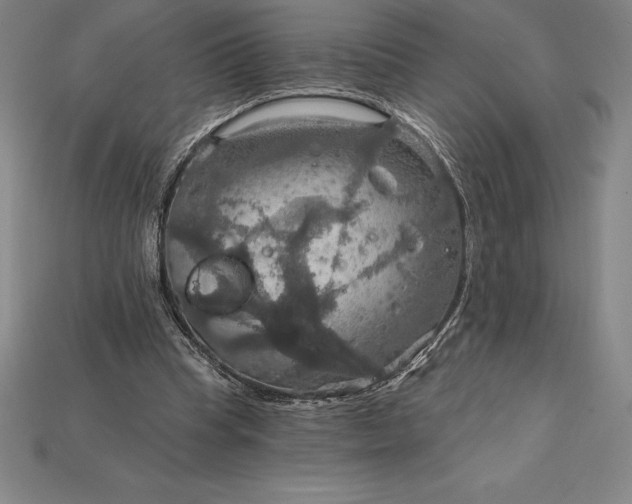 X0000115200345200911121847