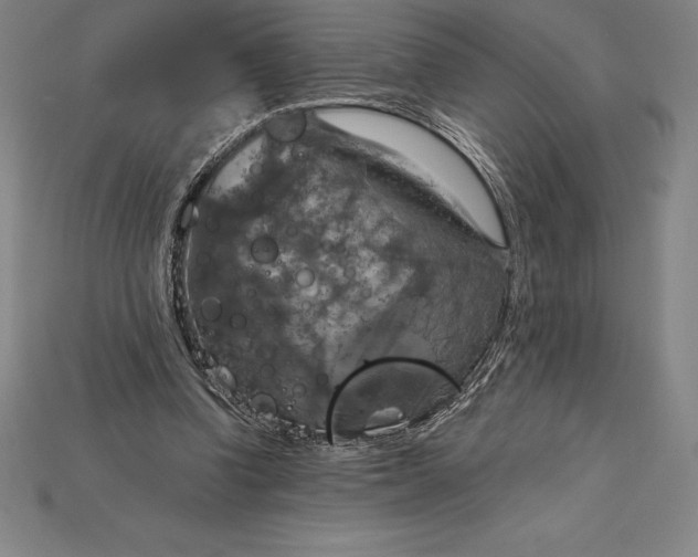 X0000115200346200911121847