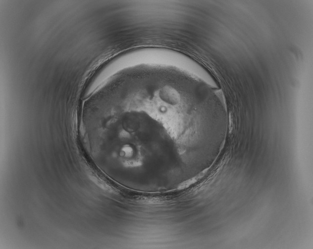 X0000115200349200911121847