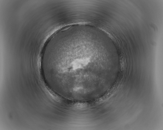 X0000115200350200911121847