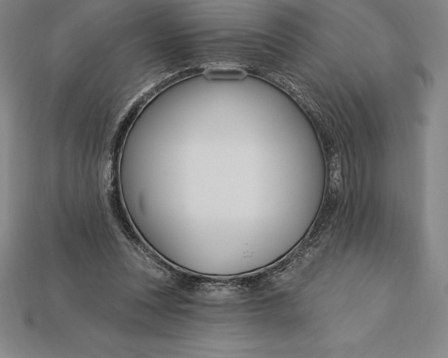 X0000115200351200911121847