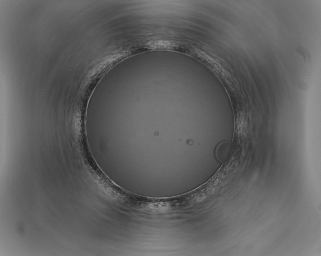 X0000115200353200911121847