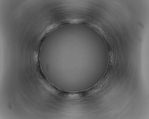 X0000115200357200911121847