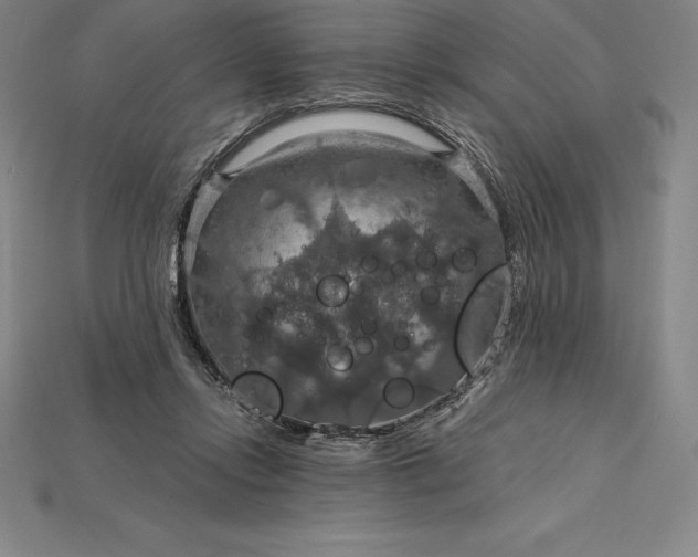 X0000115200358200911121847
