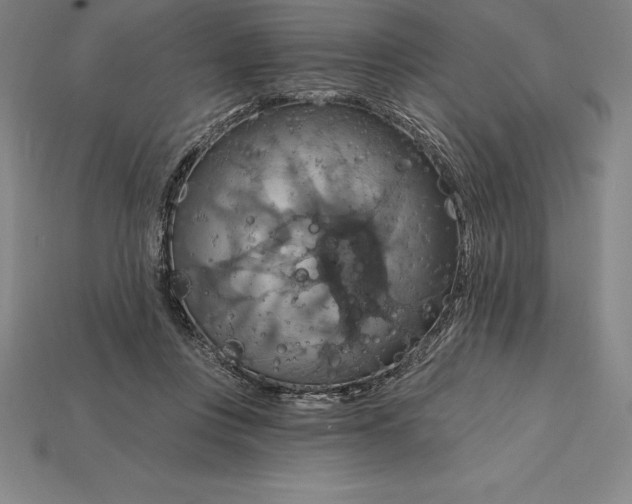 X0000115200359200911121847