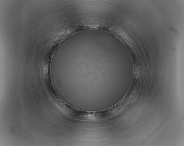 X0000115200365200911121847