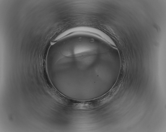 X0000115200366200911121847