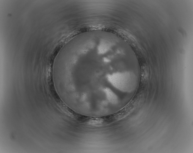 X0000115200369200911121847