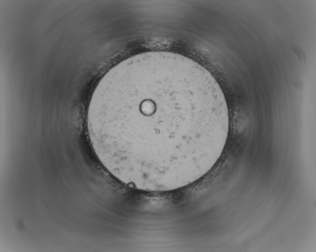 X0000115200370200911121847