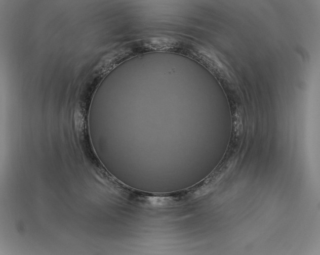 X0000115200371200911121847