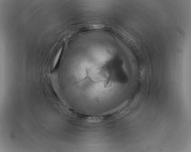 X0000115200373200911121847