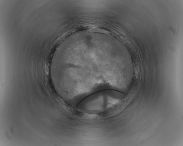 X0000115200374200911121847