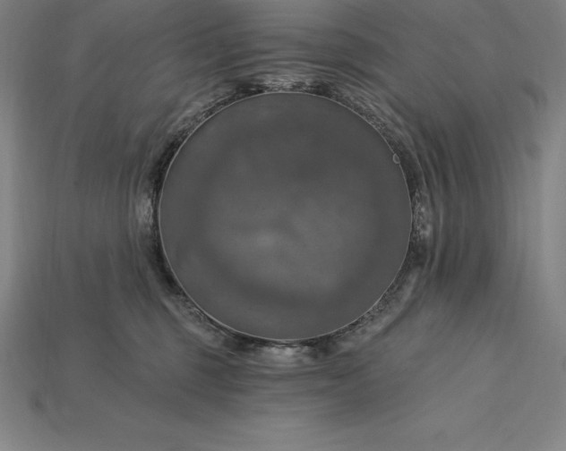 X0000115200375200911121847