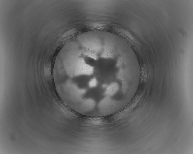 X0000115200377200911121847