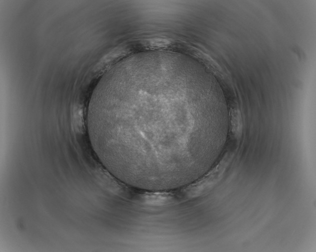 X0000115200378200911121847
