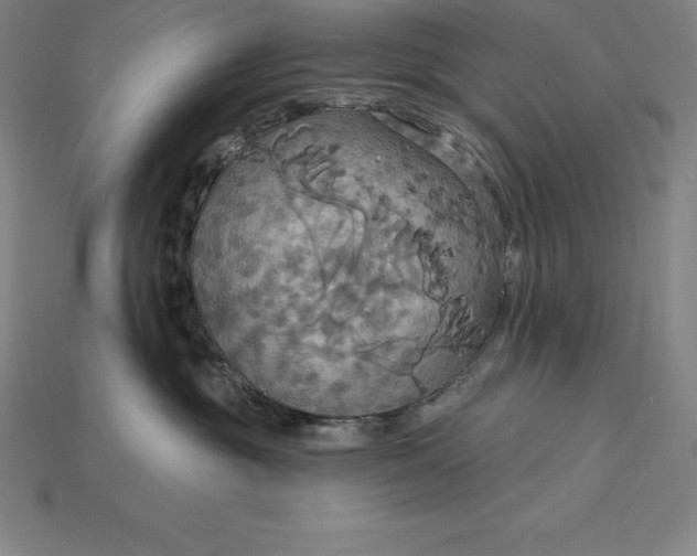 X0000115200381200911121847
