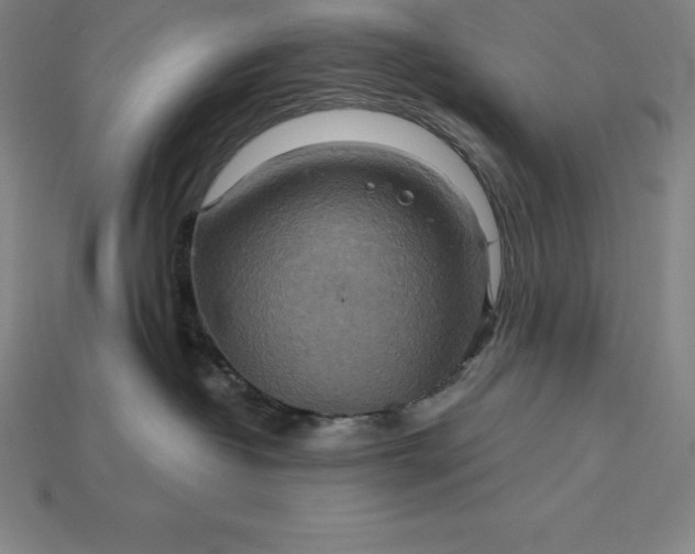 X0000115200382200911121847