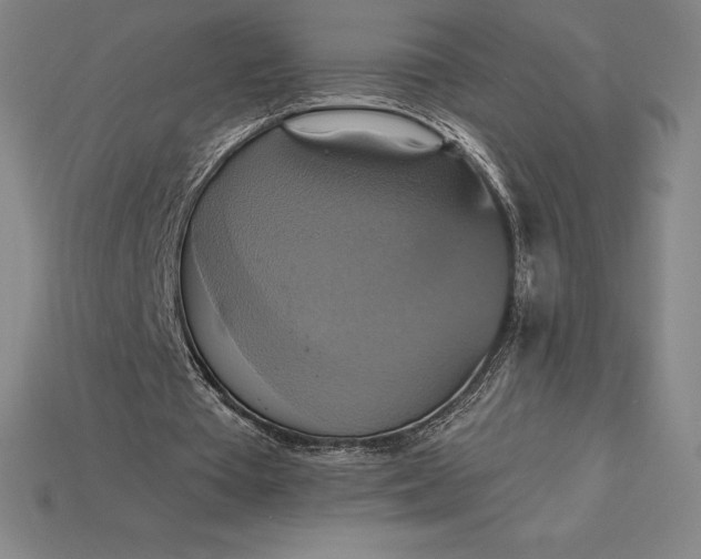 X0000115200385200911121847