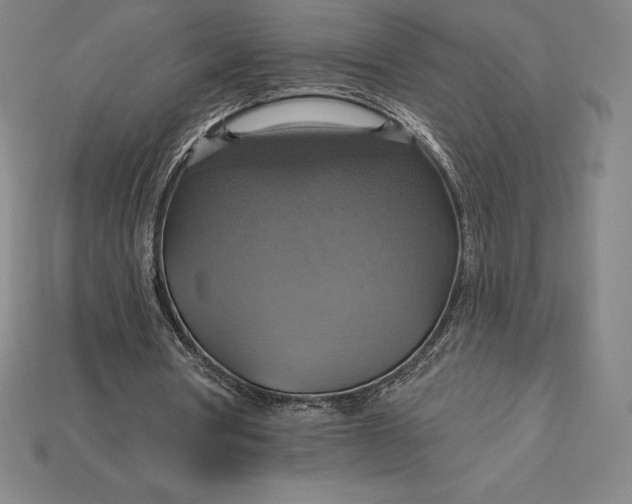 X0000115200386200911121847