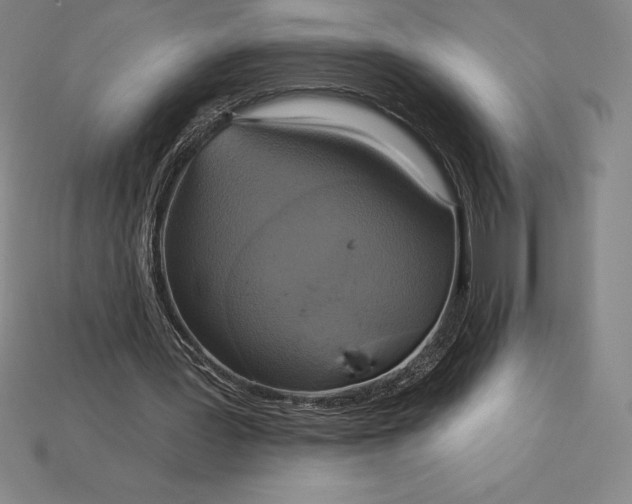 X0000115200387200911121847