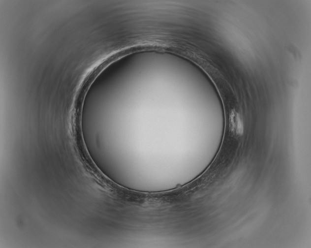 X0000115200388200911121847