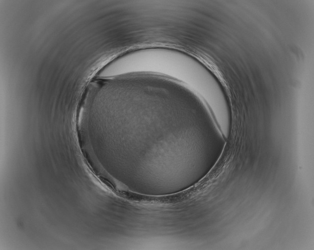X0000115200389200911121847