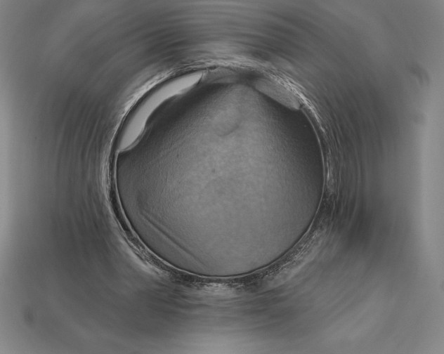 X0000115200390200911121847