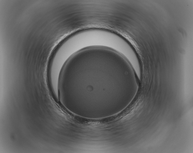 X0000115200391200911121847
