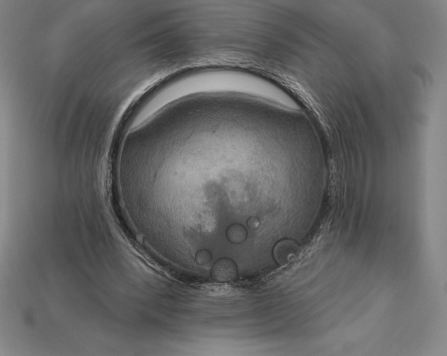 X0000115200392200911121847
