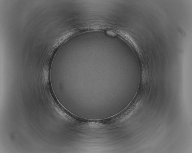 X0000115200393200911121847