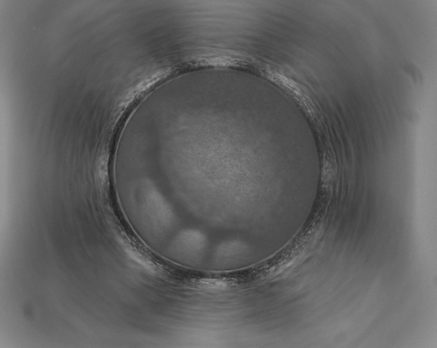 X0000115200394200911121847
