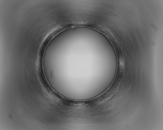 X0000115200396200911121847