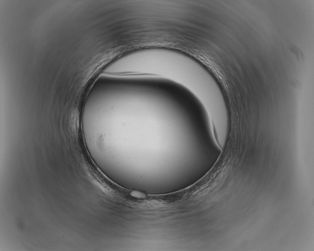 X0000115200397200911121847