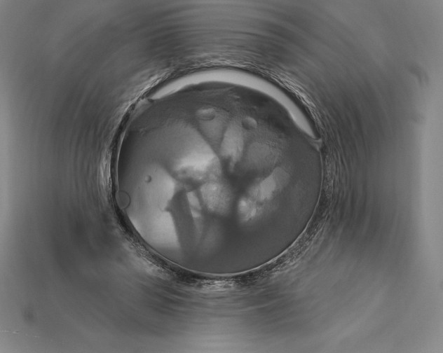X0000115200398200911121847