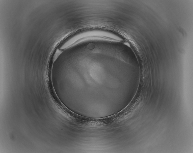 X0000115200399200911121847