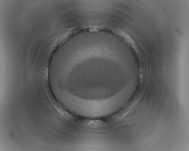 X0000115200401200911121846