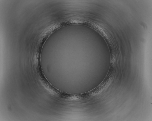 X0000115200402200911121846