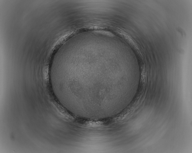 X0000115200403200911121846