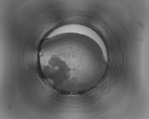 X0000115200404200911121846